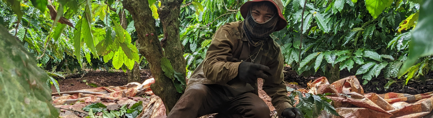 Study| Child Rights Risks in Global Supply Chains